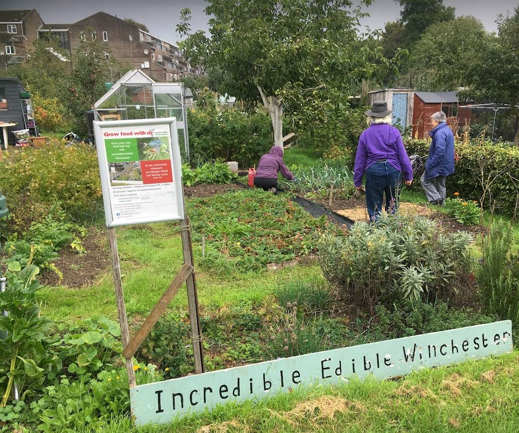 Winchester Green Week Past events